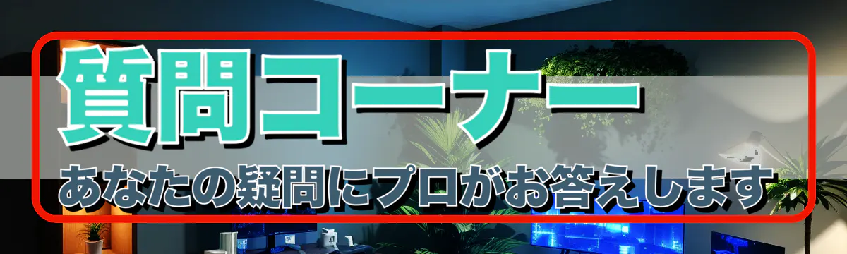 質問コーナー あなたの疑問にプロがお答えします